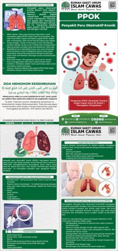 Penyakit Paru Obstruktif Kronis PPOK 